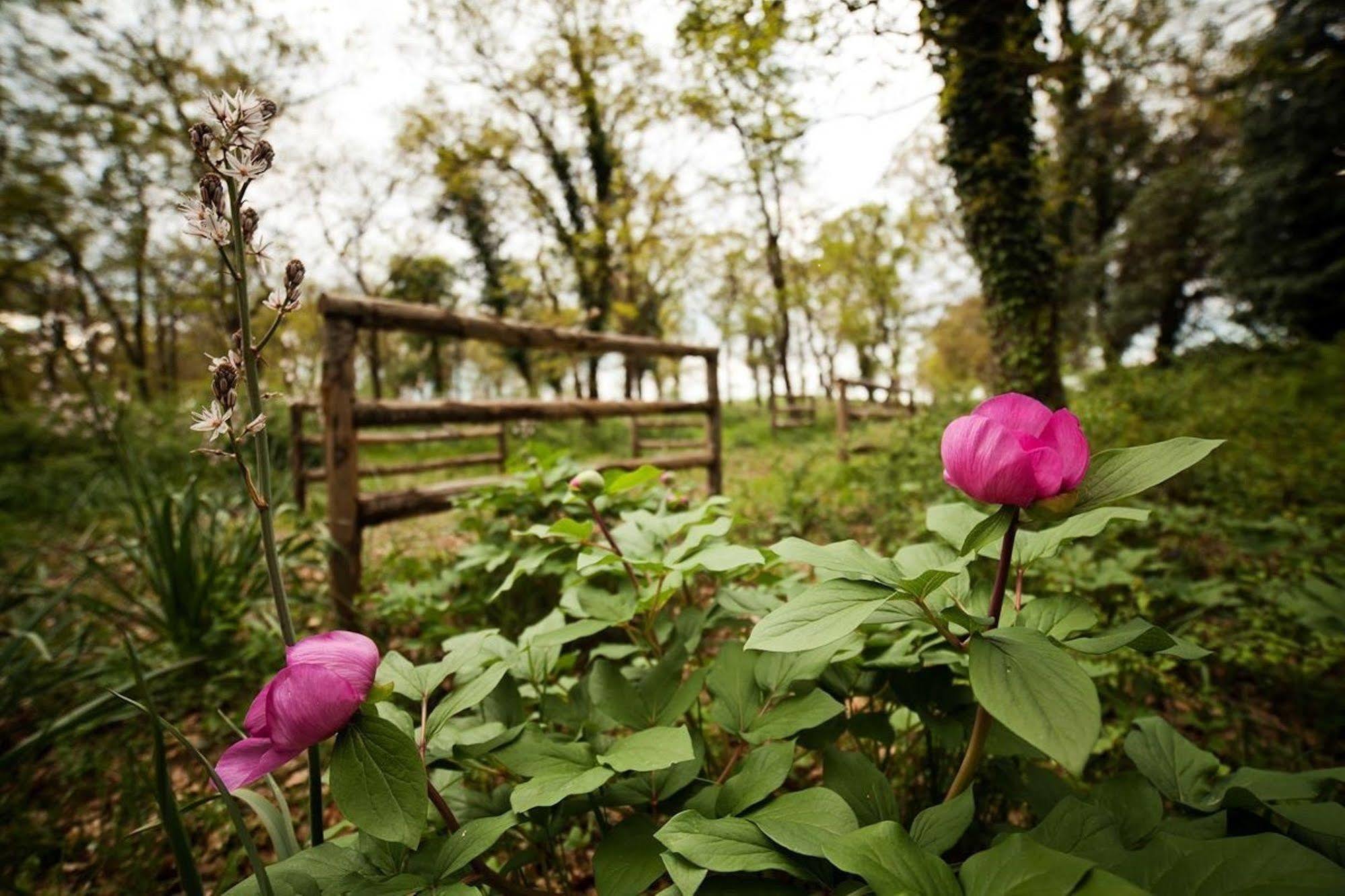 Tenute D'Onghia Gioia Del Colle Exterior foto